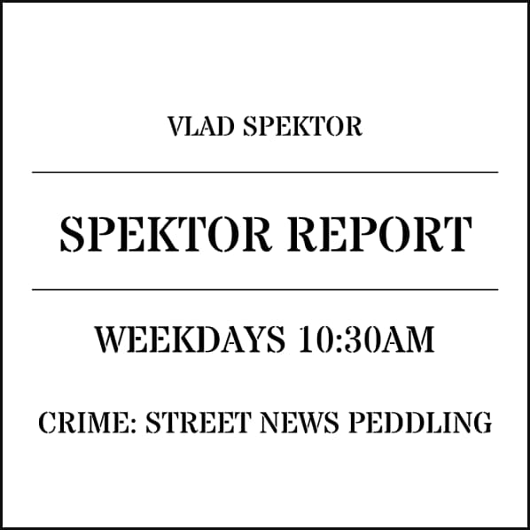 Spektor report (segment)